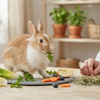 Can My Rabbit Eat This?