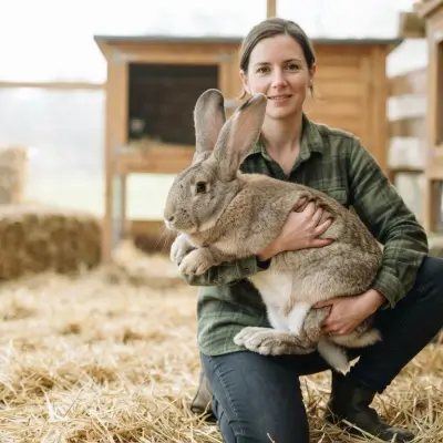 Largest Rabbit Breeds