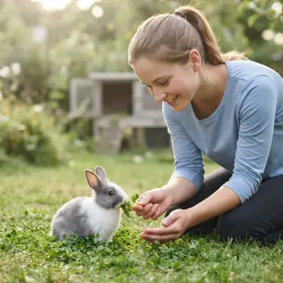 How to Care for a Baby Rabbit