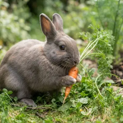 Can Rabbits Eat Carrots?