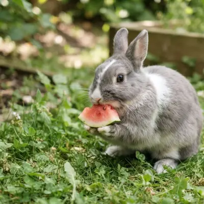 Can Rabbits Eat Watermelon?